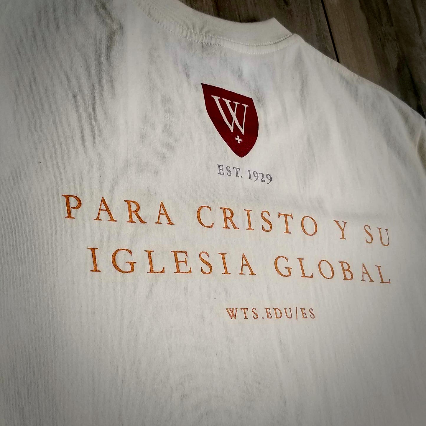 Camiseta | Creador-Criatura (Español)