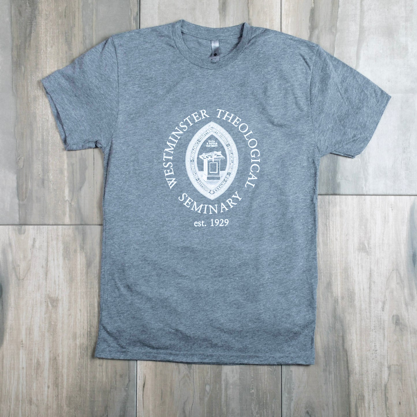 Camiseta | Clásica | Gris