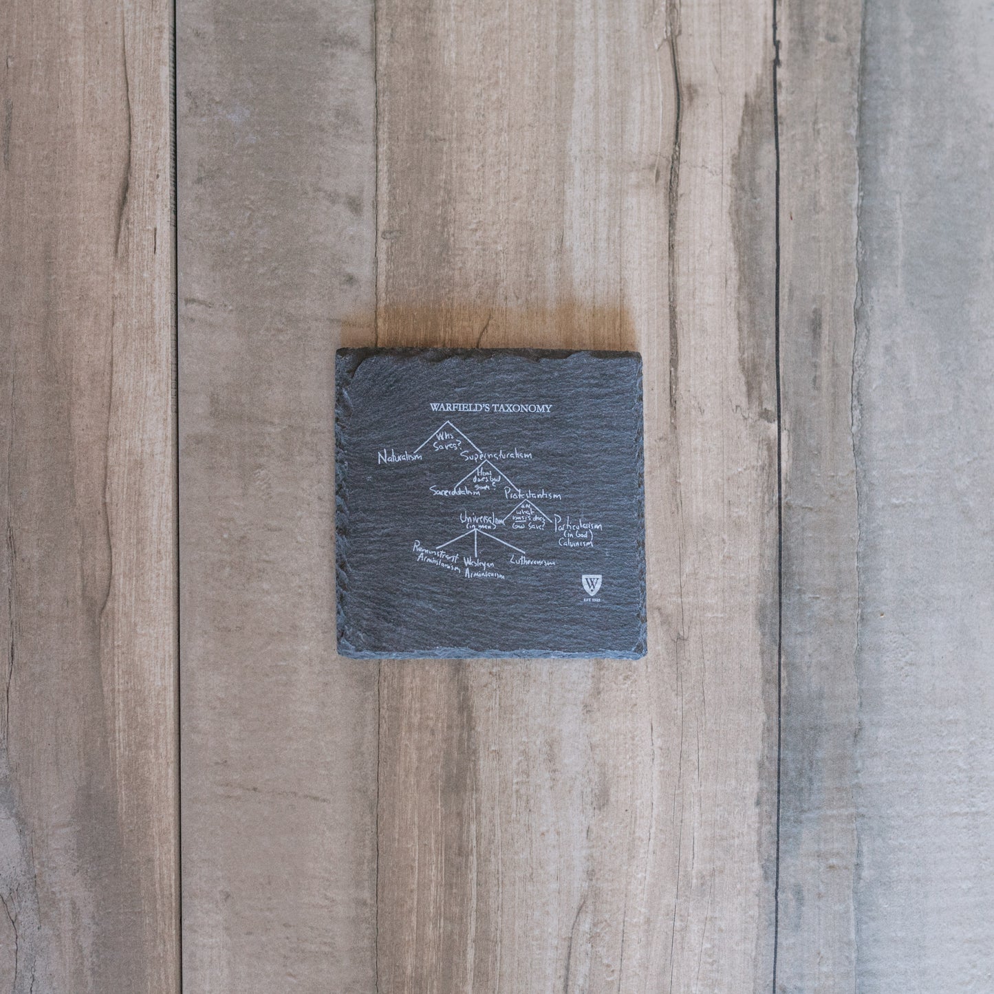 코스터 | 워필드